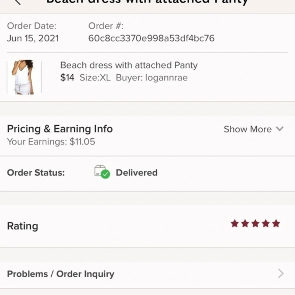 Beach dress with attached Panty - Picture 8 of 10